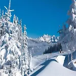 In Near Red 8 Gondola * Wagrain