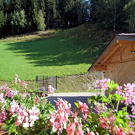 Apartment In Wagrain Near Red 8 Gondola Апартаменты *