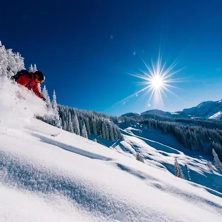 Appartement In Near Red 8 Gondola Wagrain