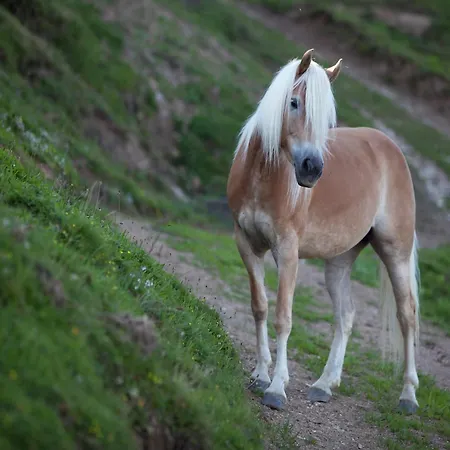 アパート In Near Red 8 Gondola ヴァークライン