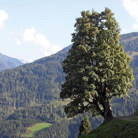 In Near Red 8 Gondola ヴァークライン