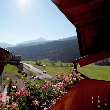 Appartement In Near Red 8 Gondola