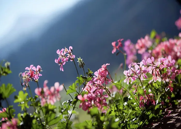 Apartment In Wagrain Near Red 8 Gondola *